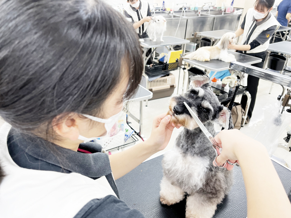 今年最後の登校日！